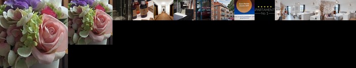 Apartament 111 - Apartamenty No 1