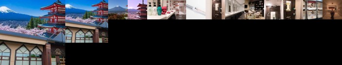 Mt Fuji Cabin & Lounge Highland Station Inn Capsule Hotel