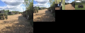 Windsor Garden Lodge Near Legoland