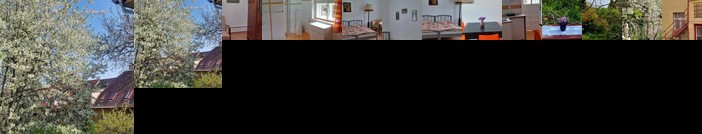 The garden in the city