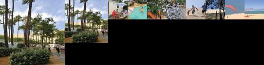 La Foret La Teste-de-Buch Gironde