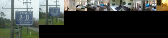 Blue Spur Bed and Breakfast