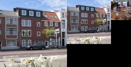 De Notenbalk Aan Zee