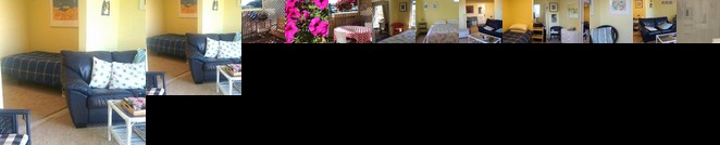 Laughing Fish Studio