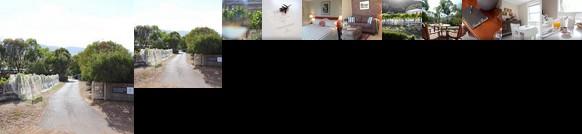 Every Man and His Dog Vineyard