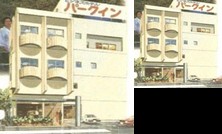 Business Hotel Park Inn