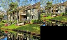 Spinnaker at Shipyard