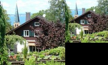 Gartenwohnung Denzler