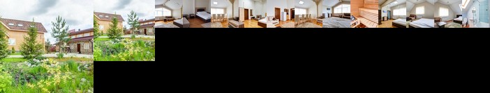 Mini-hotel Gosteyev - Nikiforovo