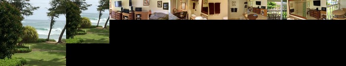 Islander On The Beach 320