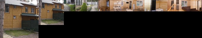 Cottage in Sosnovom Boru