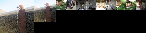 Made Taro - Menjangan Homestay