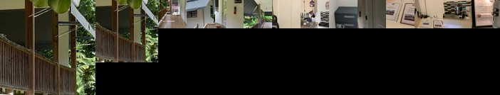 Estudios Maria Reyes