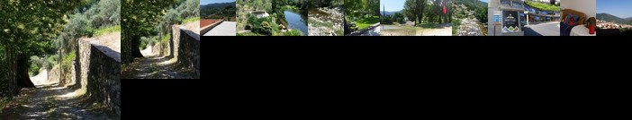 Casa das Oliveiras - Manteigas