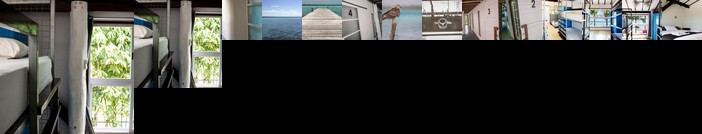 The Yak Lake House - Hostal