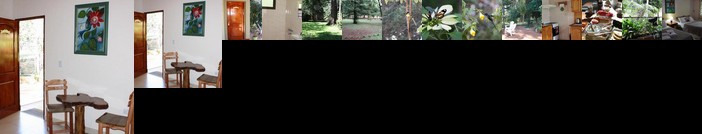 Oasis Bed and Breakfast Puerto Iguazu