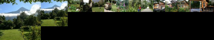 Boutique Vintage Forest Cabin