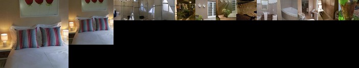 Guest House Frame Ace