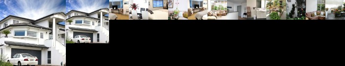 Lush & Co Auckland Bed & Breakfast