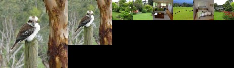 The Little House on The Hill