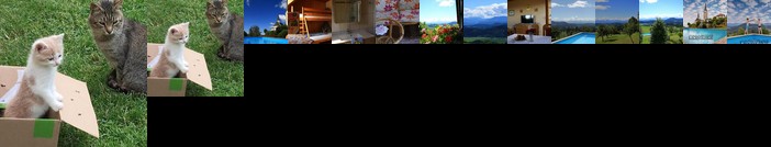 Urlaub am Lacknerhof - Familie Klocker