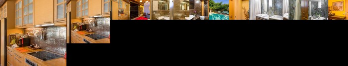 Turdus Merula Retreat