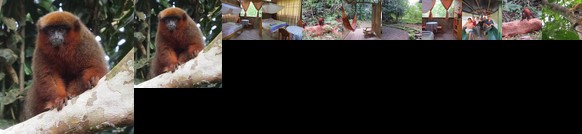 Yacumama Tambopata Ecolodge
