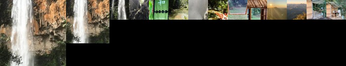 Purling Brook Falls Gwongorella