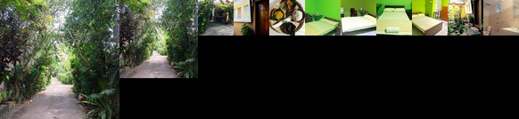 Homestay - THE PAVILION