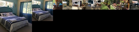 Bramston Beach Ocean Views