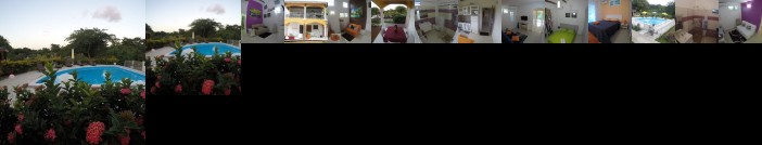 Appartement Coeur de Papillon