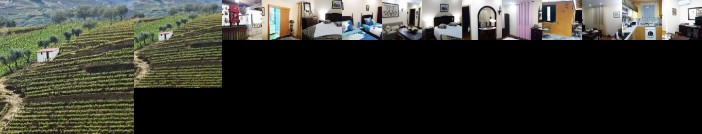 Douro Valley - Casa Vale do Douro