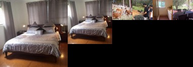 Villa Cervi Property