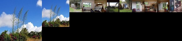 Aloha Cottage