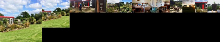 Southern Scenic Stargazer