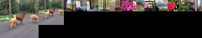 Will's Wonderland B&B & Farmstay