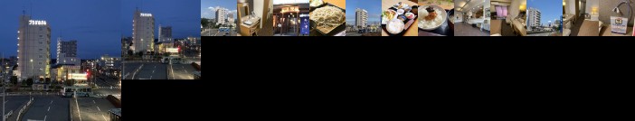 Ryugasaki Plaza Hotel Honkan