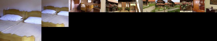 Apartments Iza Na Trem