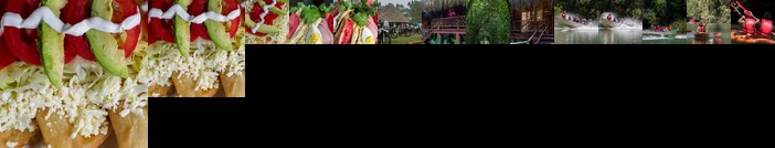 Las Guacamayas Lodge Resort Selva Lacandona Chiapas Mexico Benemerito de las Americas