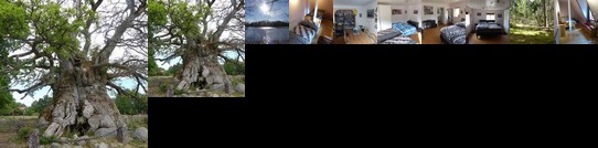 Ydrefors Bed & Breakfast