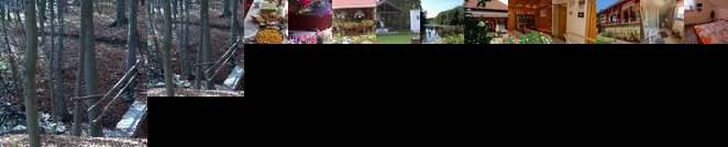 Harmonia Vendeghaz Nemetbanya