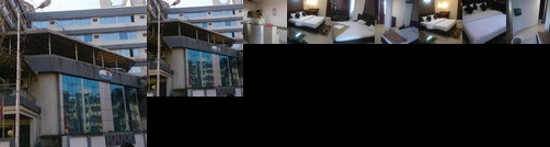 Dolphin Lodging & Boarding