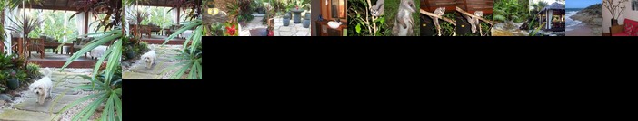 Forest Lodge Bali-Style Retreat