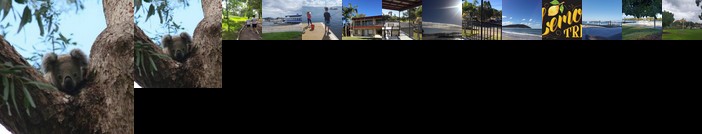 Lemon Tree Waterfront Apartments