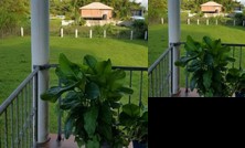 Bougainvillea Apartments