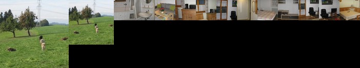 Ferienwohnung Huber Scheidegg