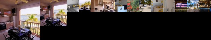 Flamboyant Sandy Ground