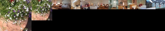 Tigh Mhaidhc Sheain Mhicil