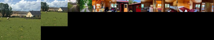 Red squirrel lodge Clarinbridge