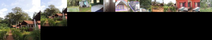 Dandeli - Jungle Nest